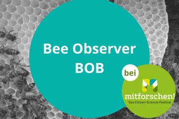 Bee Observer BOB