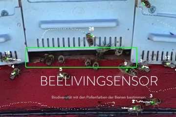 Beelivingsensor